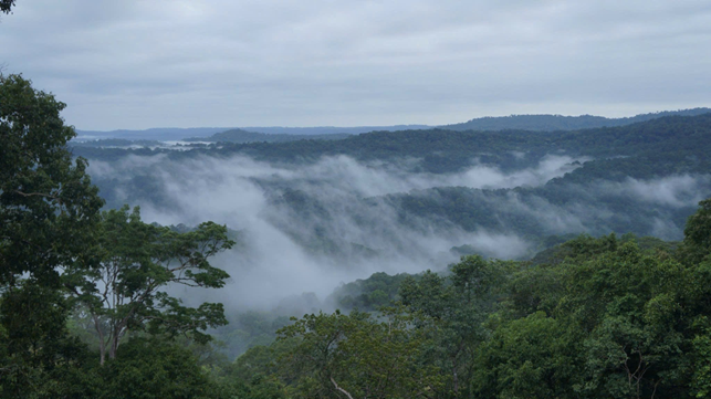 Hành trình khám phá Vườn quốc gia Bù Gia Mập – Trải nghiệm sinh thái, văn hóa và thiên nhiên nguyên sơ